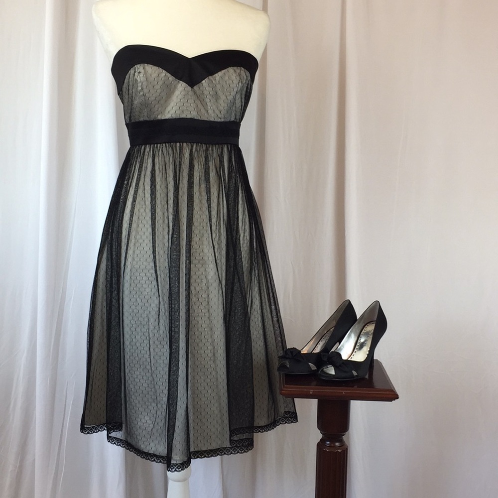 WHBM Strapless Cocktail Dress Cream/Black Size 8